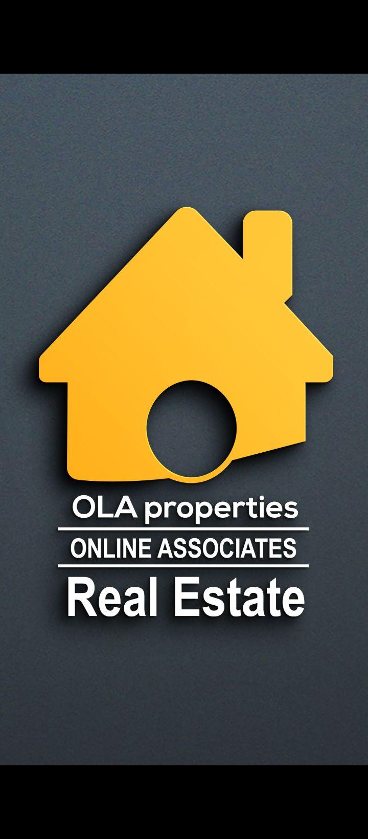 ONLINE ASSOCIATES